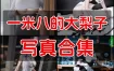 一米八的大梨子 写真作品合集